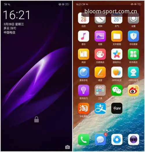 杏彩体育手机版完整使用指南：从下载到深度分析的全面评测